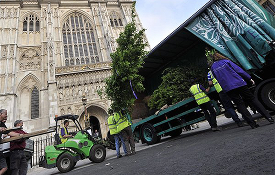 Milliókért rendelt élő fákat a templomba Kate Middleton