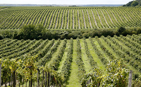 Szent István Korona Irsai Olivér a Góliátok között