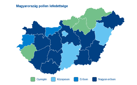 Fűben-fában...pollen