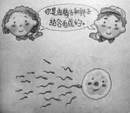Illusztráció a gyerekeknek szóló oktatókönyvből Forrás: chinadaily.com.cn
