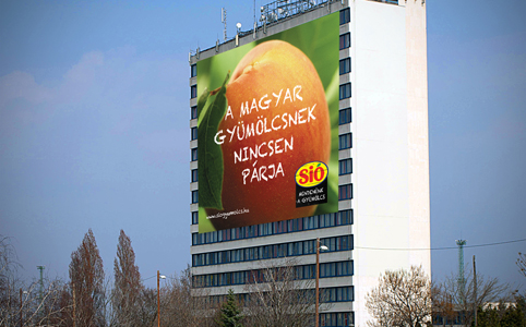 Piacrajárós gyümölcskosár újrahasznosított reklámponyvából: kell?