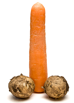 Értsd meg a pénisz működését!