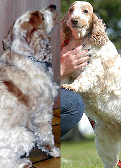 Molly előtte és utána fotója