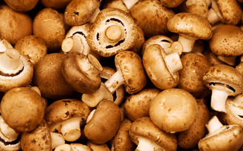 Gombában az egészség