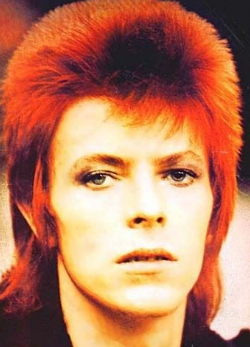Bowie eredetiben