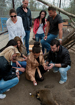 Örökbefogadott Horváth Éva