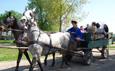 Szervezett egy napos kirándulások szárnyashajóval a Dunán