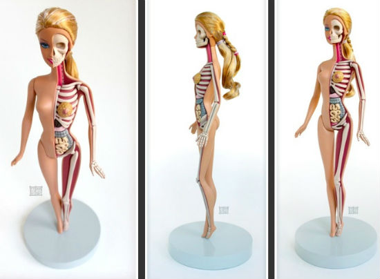 Elkészült a Barbie baba anatómiai modellje