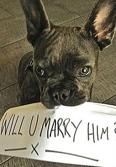 Különc lánykérést választott a Mentalista sztárja - fotó Különc lánykérést választott a Mentalista sztárja - fotó