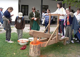 Mozimánia és szaunaparti a hétvégén