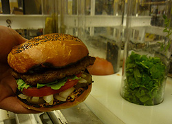 Hamburger, robot módra