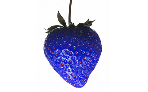 Az év 5 legbizarrabb gasztroújdonsága Az év 5 legbizarrabb gasztroújdonsága