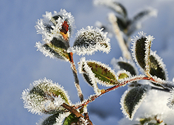 Napsütéssel és fagyokkal búcsúzik az év 
