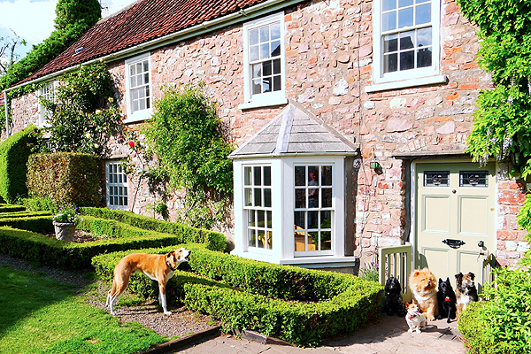 Luxusszállodában nyaralhatnak a kutyák Luxusszállodában nyaralhatnak a kutyák