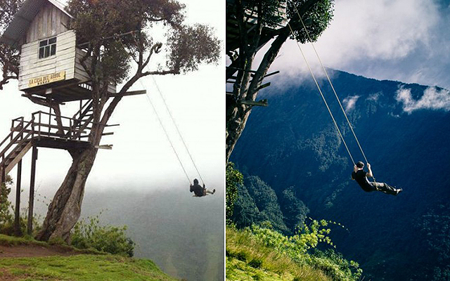 Forrás: Oddity Central