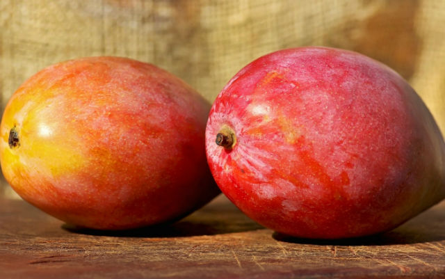  Trükk: így nálad is nőhet mangó