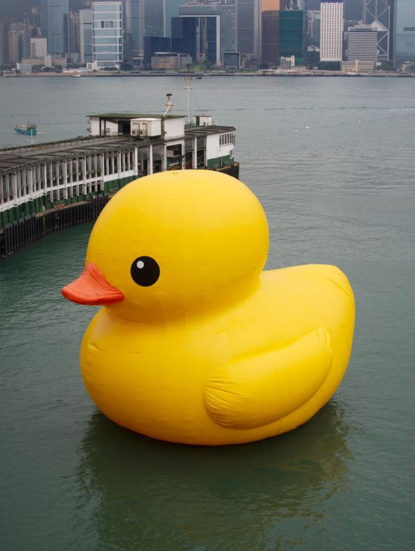 Lőttek az óriás gumikacsának