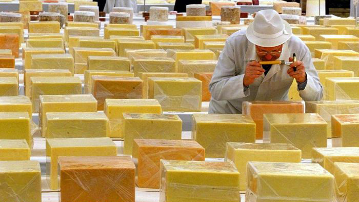 Szórakozz sajttal - sajtok legjei