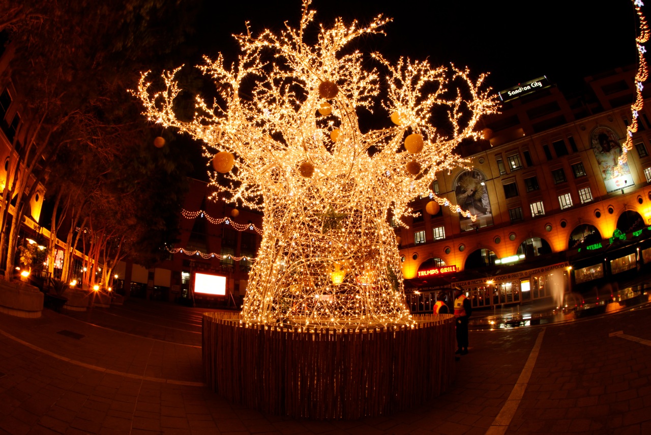 Így díszíts idén: nagy karácsonyfa körkép