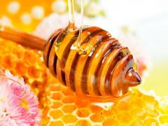 Vasárnapi programok: méz napja és mikulás túra