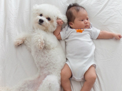 Az idei 27 legcukibb gyerek-kutya fotó