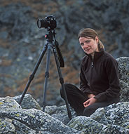 Forrás: //www.kudich.hu