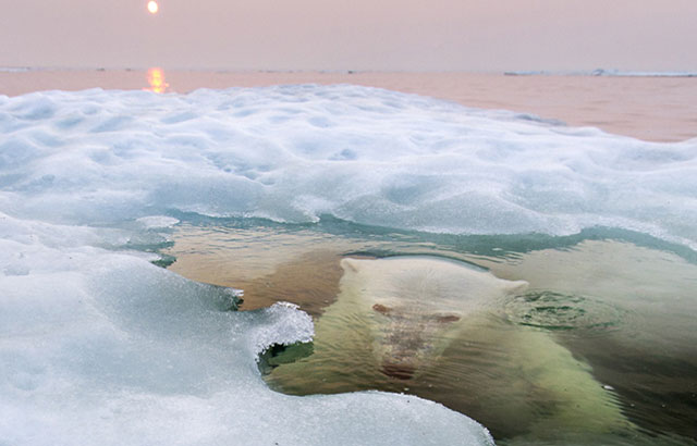 Forrás: //photography.nationalgeographic.com