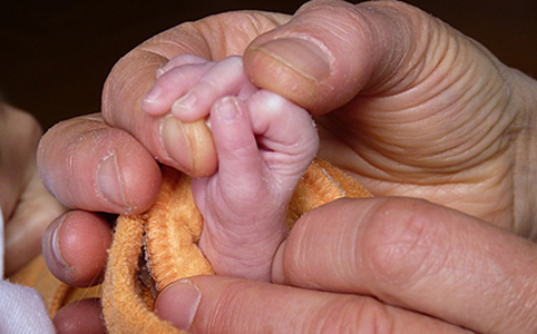   Ismerd meg a DSMG technikát és segítsd az alapítvány munkáját!