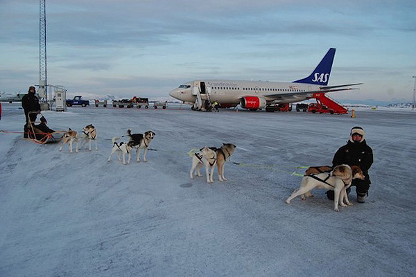 Elindult a világ első kutyaszán-taxija Elindult a világ első kutyaszán-taxija