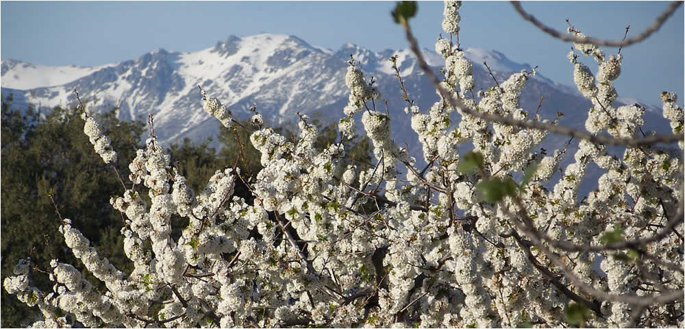 Így néz ki álmaink hétvégi háza