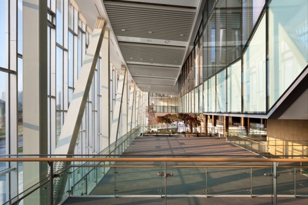 10 extravagáns könyvtárépület