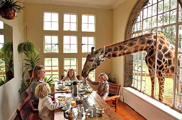 Káprázatos hotelszobák Káprázatos hotelszobák