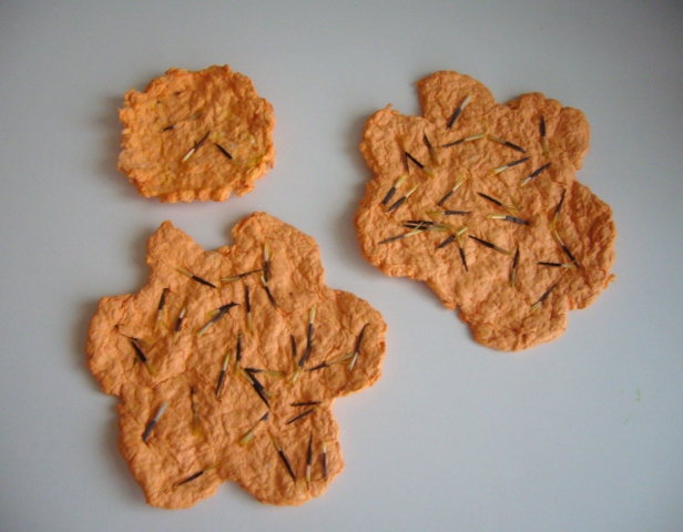 Csináld magad: papír, ami elültetve kivirágzik Csináld magad: papír, ami elültetve kivirágzik