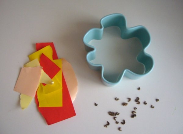 Csináld magad: papír, ami elültetve kivirágzik Csináld magad: papír, ami elültetve kivirágzik