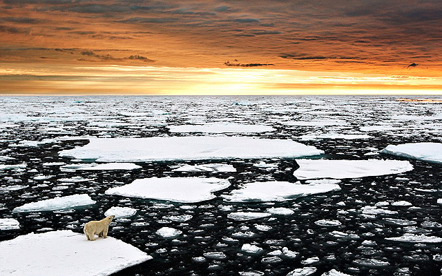 Elgondolkodtató fotó: jégtáblán sodródik a jegesmedve