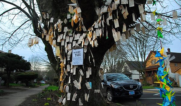 Kívánságfa 