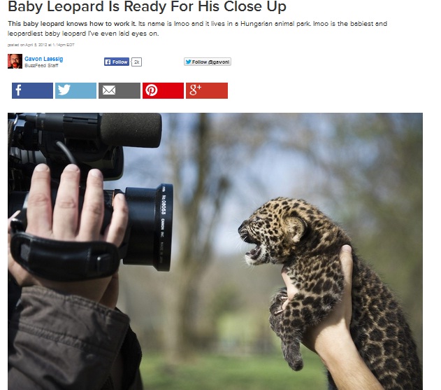 Mi a fenét tud még Magyarországról a Buzzfeed? Mi a fenét tud még Magyarországról a Buzzfeed?