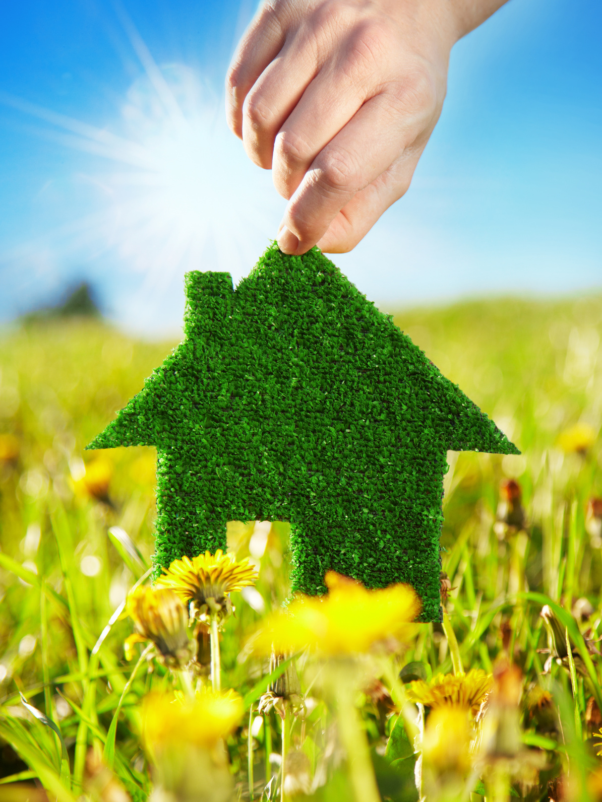 Legyél környezetbarát lakásvásárló!