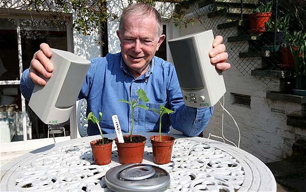 Beszélj a növényedhez - lehet, hogy válaszol