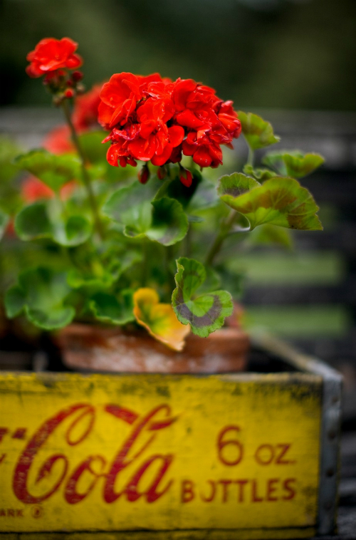 Idén márciusban nem lesz hó