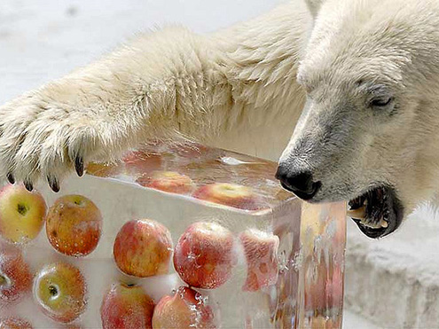 Ezek 2014 leghatékonyabb diétái