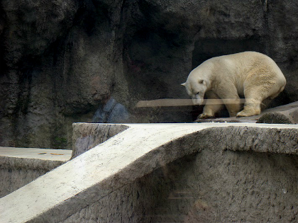 Családi programajánló a fővárosban Családi programajánló a fővárosban