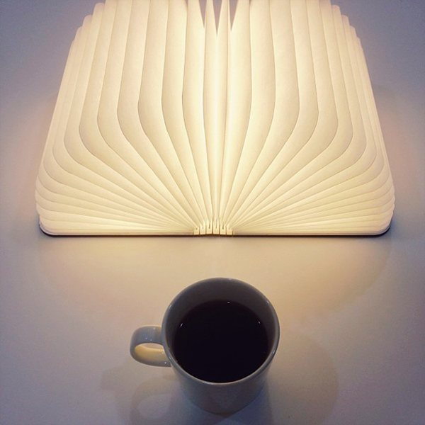 Könyvnek látszik, de valójában hordozható lámpa