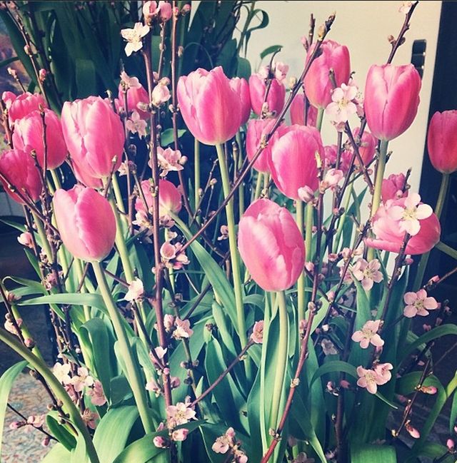 Forrás: //instagram.com/timeapalacsik Forrás: //instagram.com/timeapalacsik