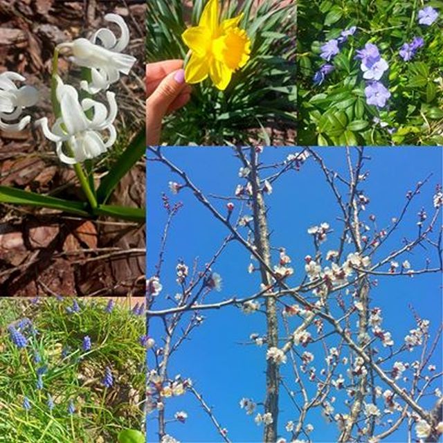 Forrás: Tatár Csilla hivatalos Facebook oldala Forrás: Tatár Csilla hivatalos Facebook oldala