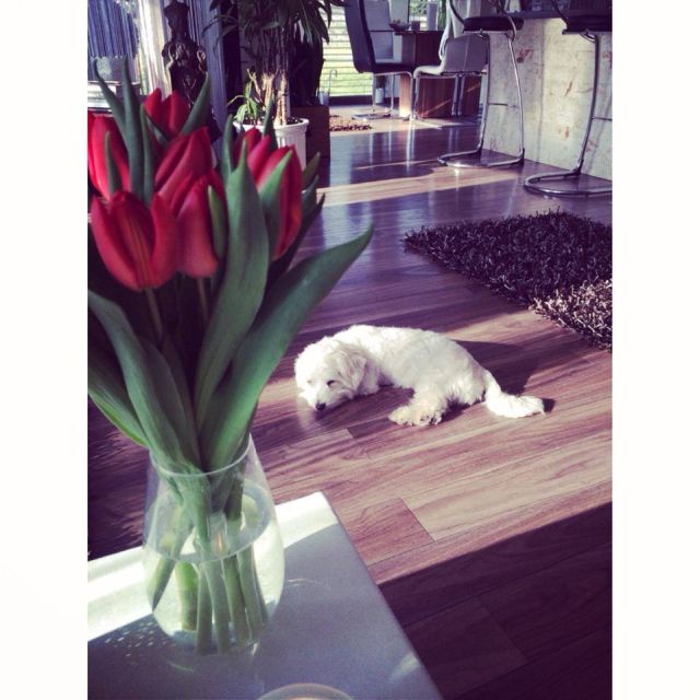 Forrás: Debreczeni Zita Fan Club / Facebook Forrás: Debreczeni Zita Fan Club / Facebook