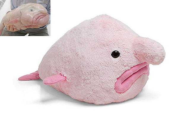 Plüssfigurát mintáztak a világ legrondább állatáról Plüssfigurát mintáztak a világ legrondább állatáról