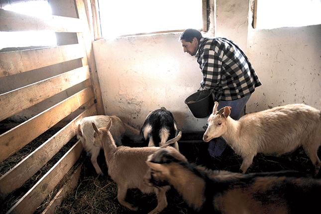 Aki csak egy házhoz akar jutni, az nem fog itt megmaradni!