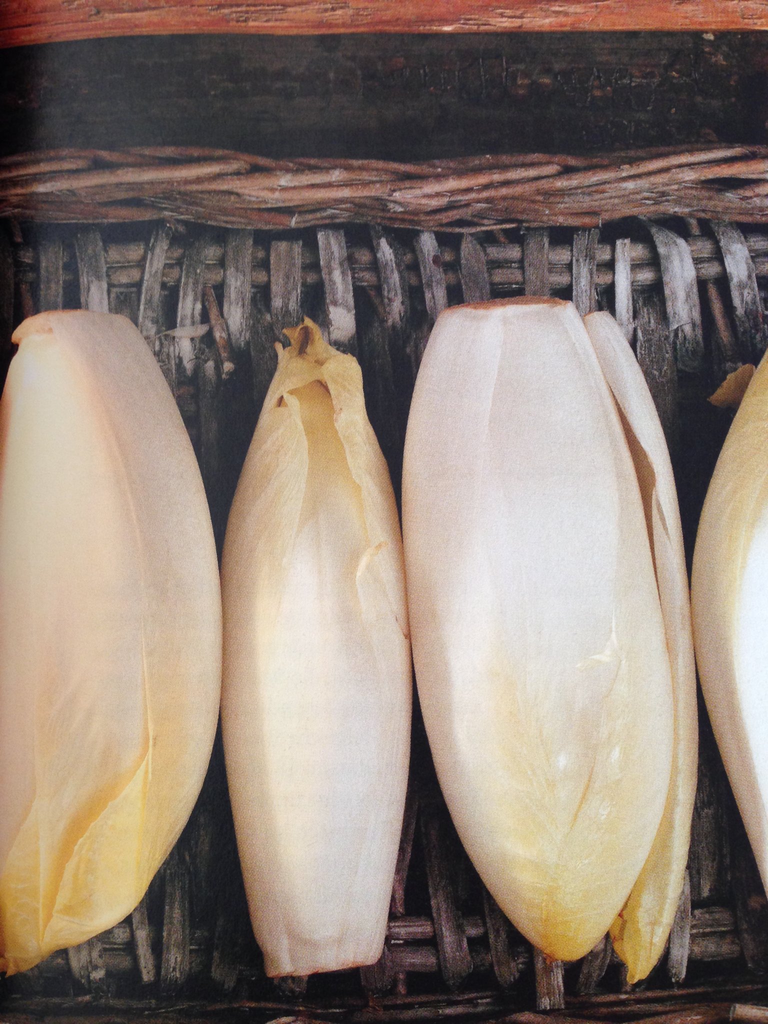 Ételek cikóriából