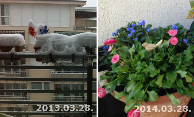 Itt a tavasz, indul a Nők Lapja Café kert!